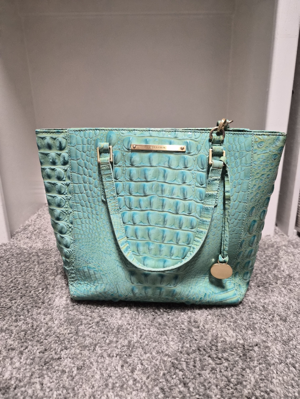 Brahmin Medium Asher